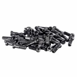 Blank PG BMX Eger (regnbue) -cykeldæk Eksport butik Blank PG BMX Spokes Rainbow Spokes Rainbow NotSet 2